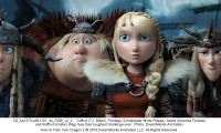 How to Train Your Dragon 2 Movie Still 5