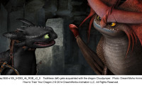 How to Train Your Dragon 2 Movie Still 4