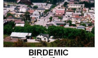 Birdemic: Shock and Terror Movie Still 3