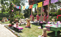 Beverly Hills Chihuahua 3 - Viva La Fiesta! Movie Still 3