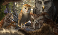Legend of the Guardians: The Owls of Ga'Hoole Movie Still 1