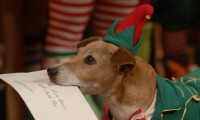 The Search for Santa Paws Movie Still 3