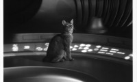 The Cat from Outer Space Movie Still 1