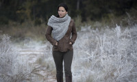The Hunger Games: Catching Fire Movie Still 2