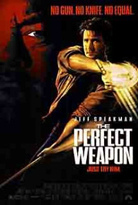 The Perfect Weapon Poster 1