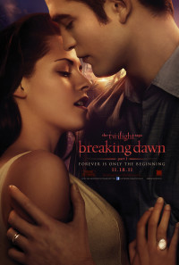 The Twilight Saga: Breaking Dawn - Part 1 Poster 1