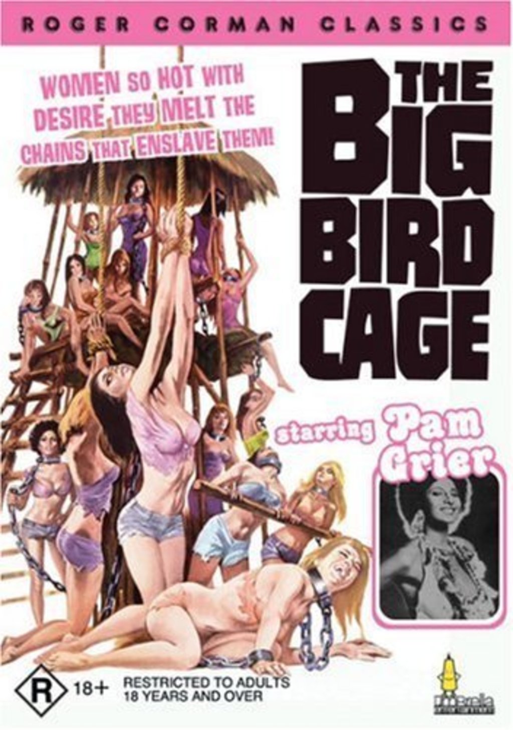 The big bird cage cast