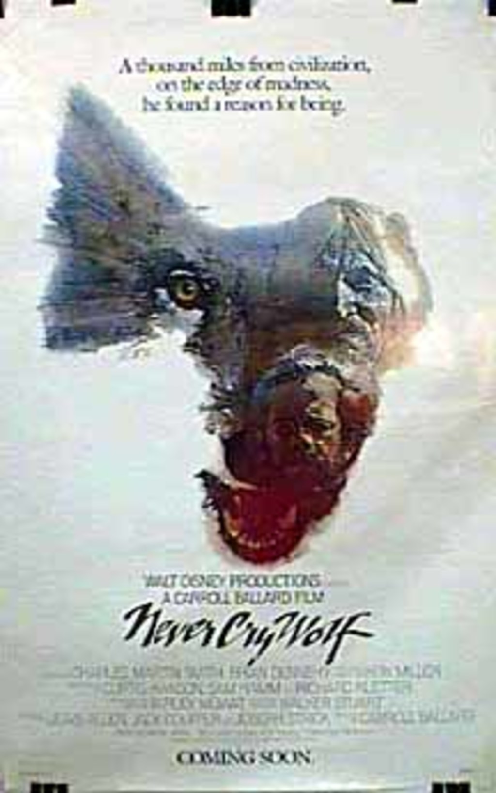 never cry wolf full movie