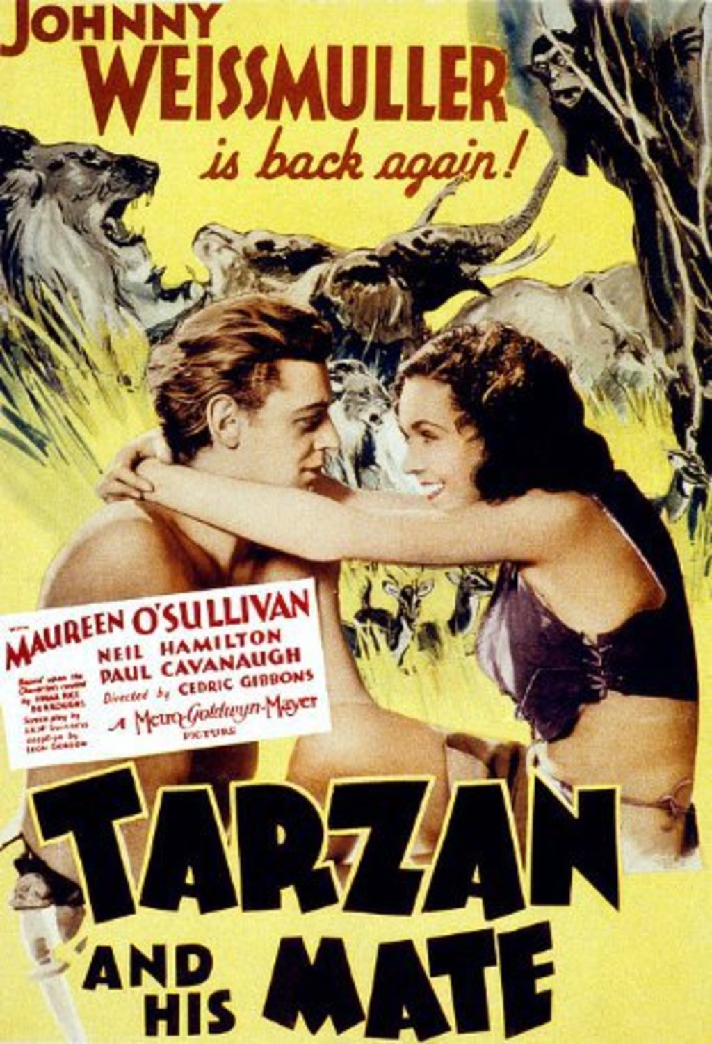 Watch Tarzan And His Mate On Netflix Today Netflixmovies Com