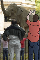 Zoofobia