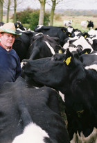 The Moo Man
