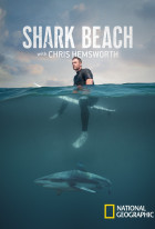 Shark Beach with Chris Hemsworth