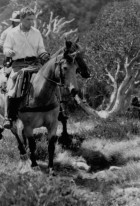 The Man From Snowy River II