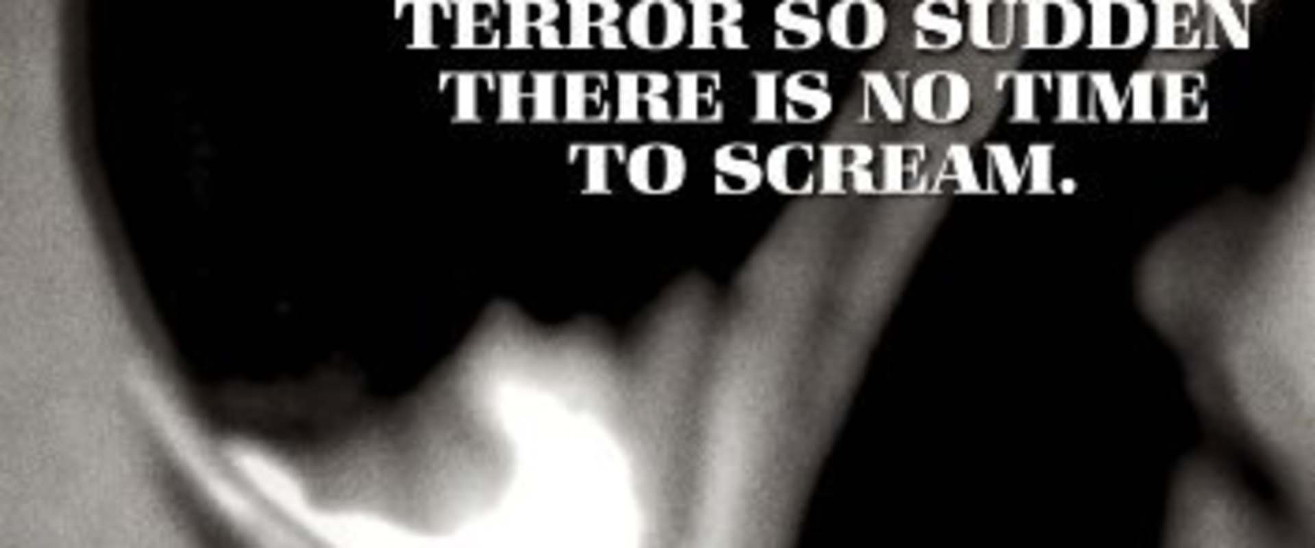 Silent Scream background 2