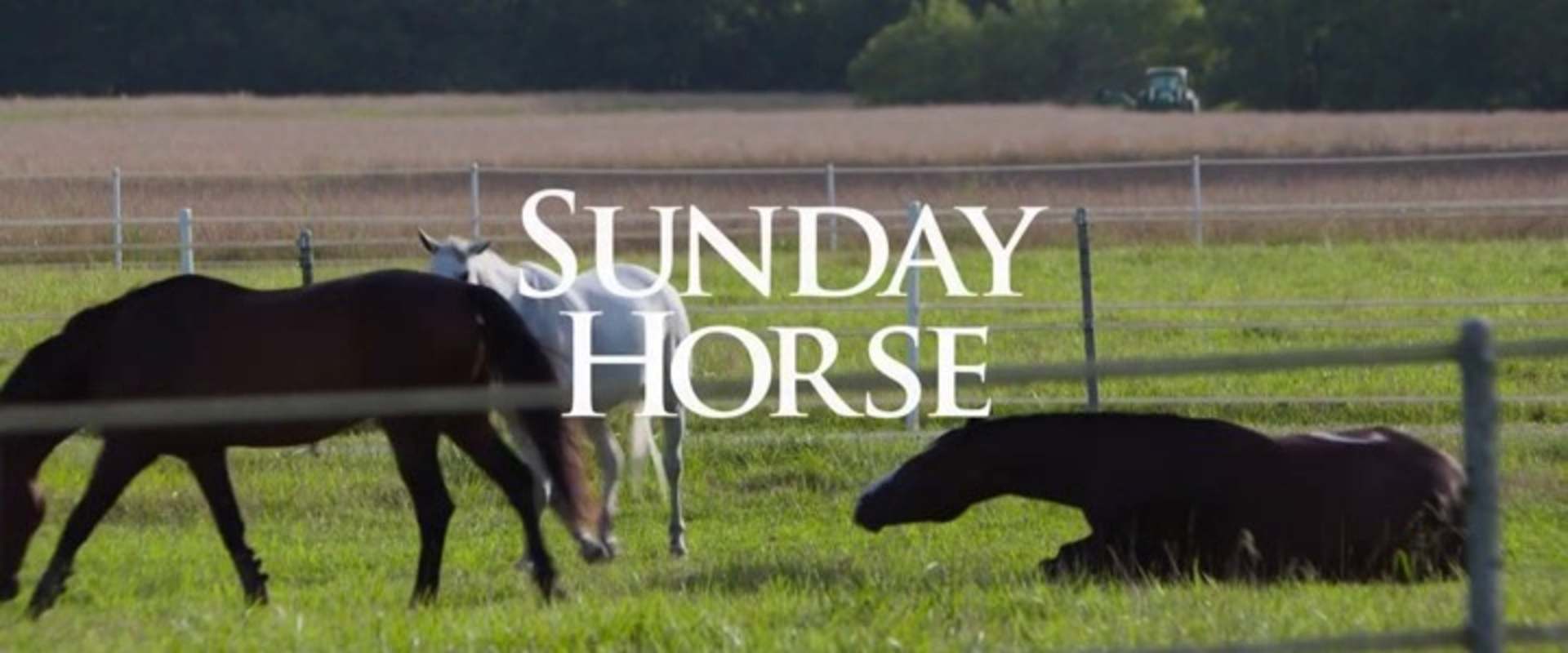 A Sunday Horse background 2
