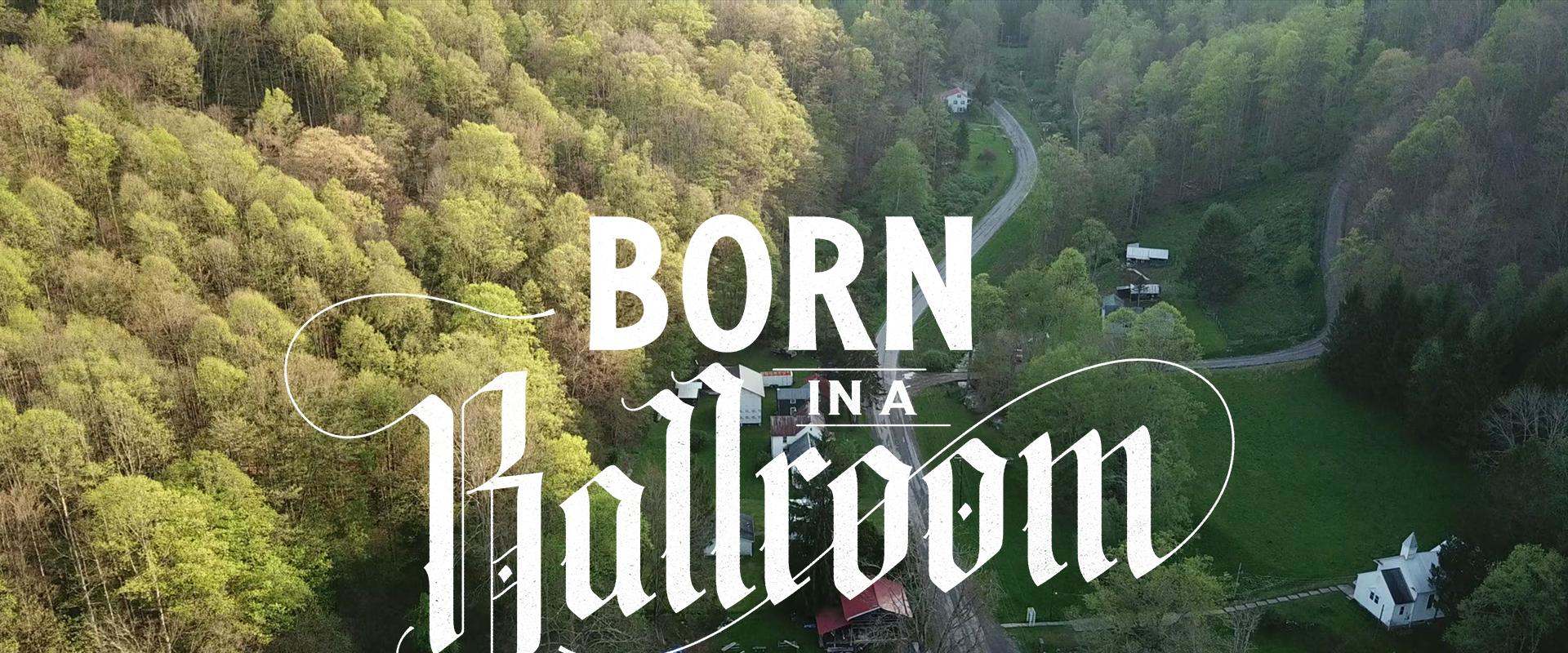 Born in a Ballroom background 2