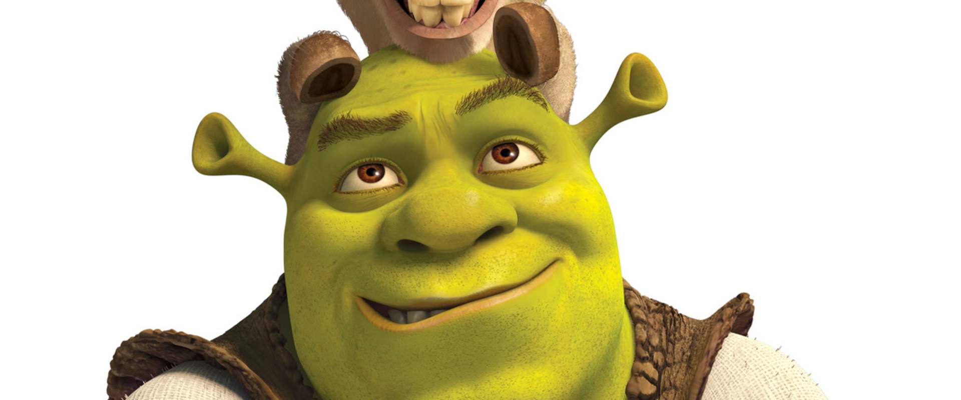 Shrek Forever After background 1
