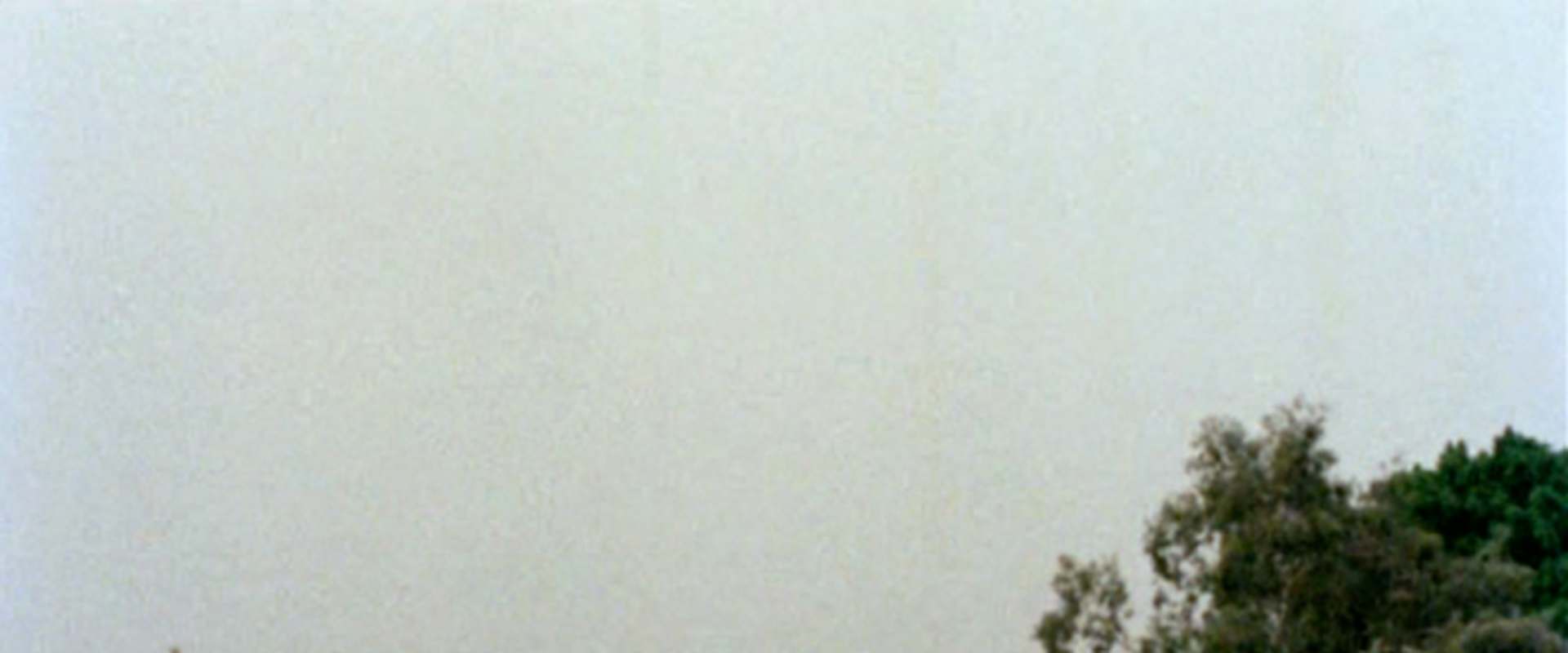 Too Early / Too Late background 2