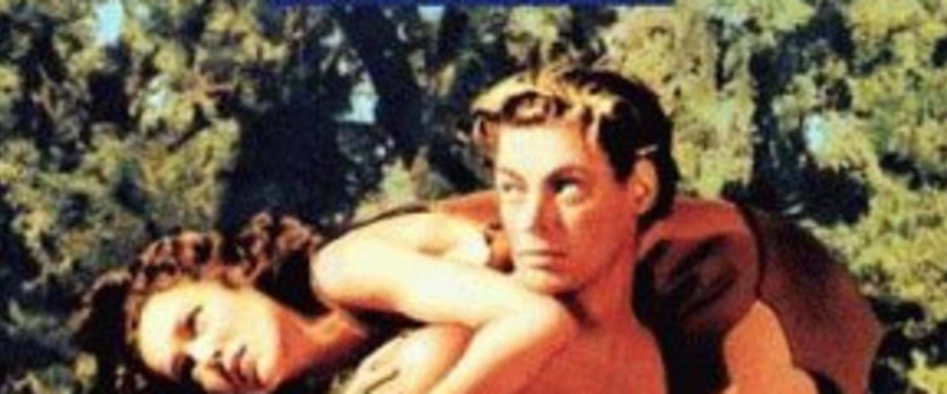 Tarzan and His Mate (14) double-weight custom photographs.