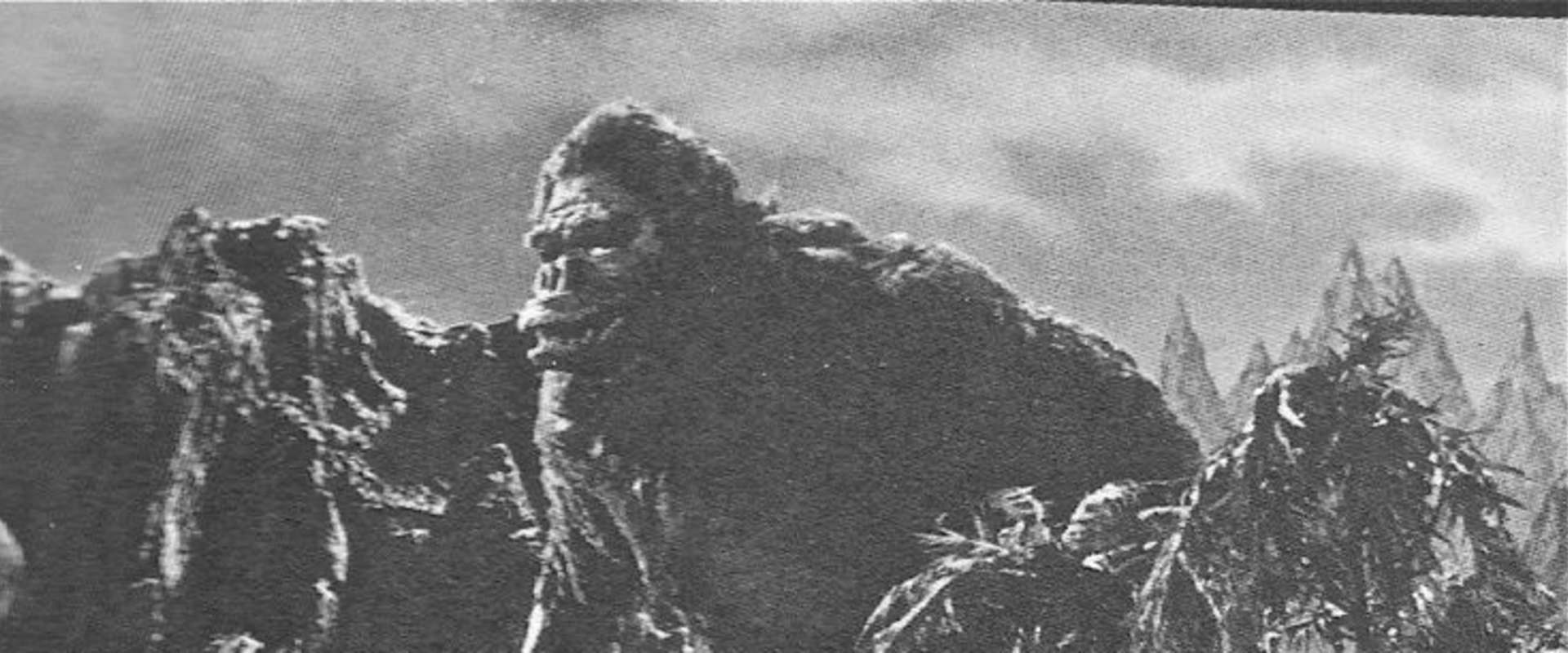 King Kong vs. Godzilla background 2