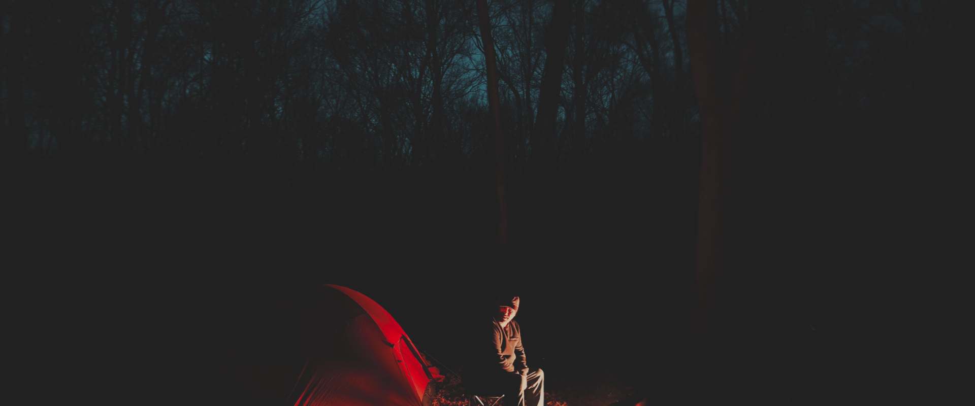 Something Walks in the Woods background 2