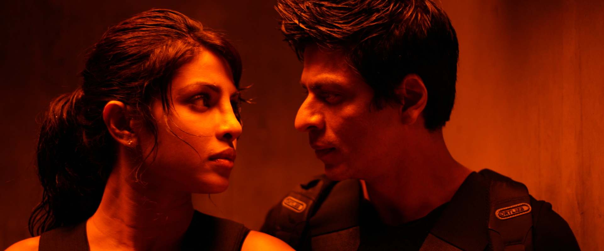Don 2 background 2