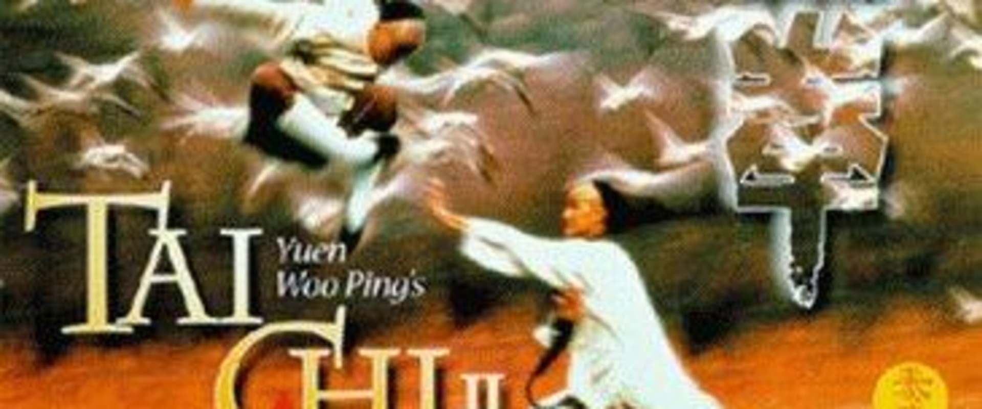 Tai Chi II background 2