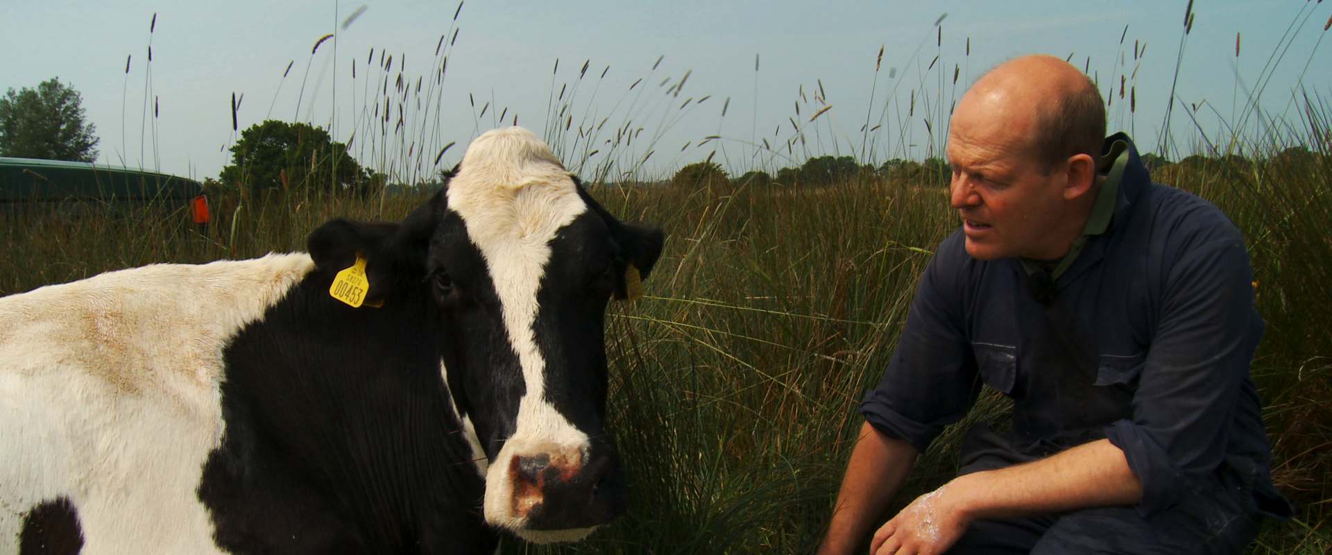 The Moo Man background 2