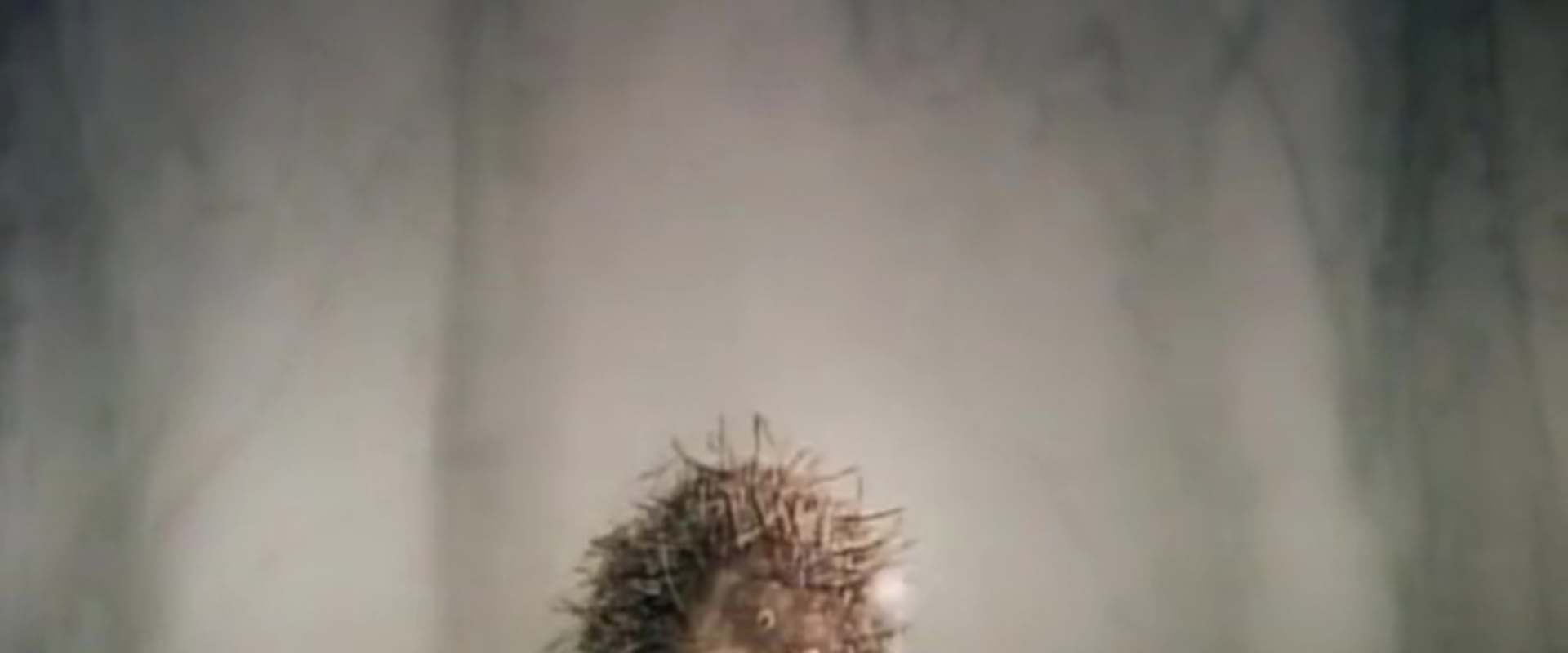 Hedgehog in the Fog background 1
