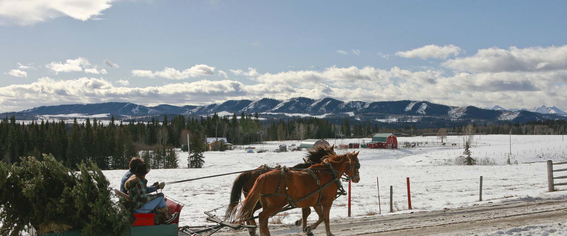 A Heartland Christmas background 2