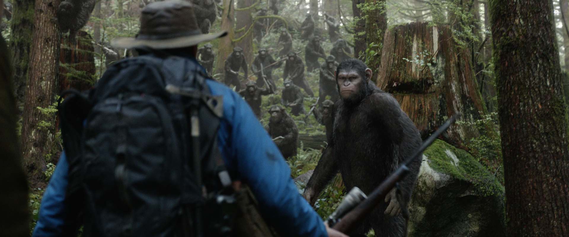 Dawn of the Planet of the Apes background 1