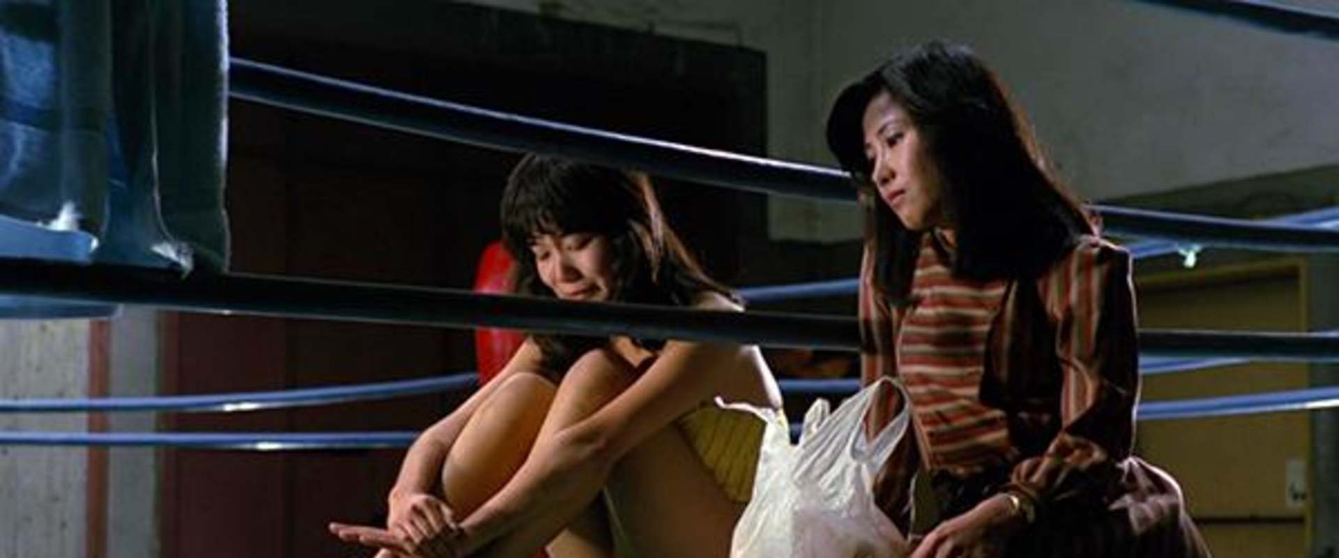Beautiful Wrestler: Down for the Count background 2