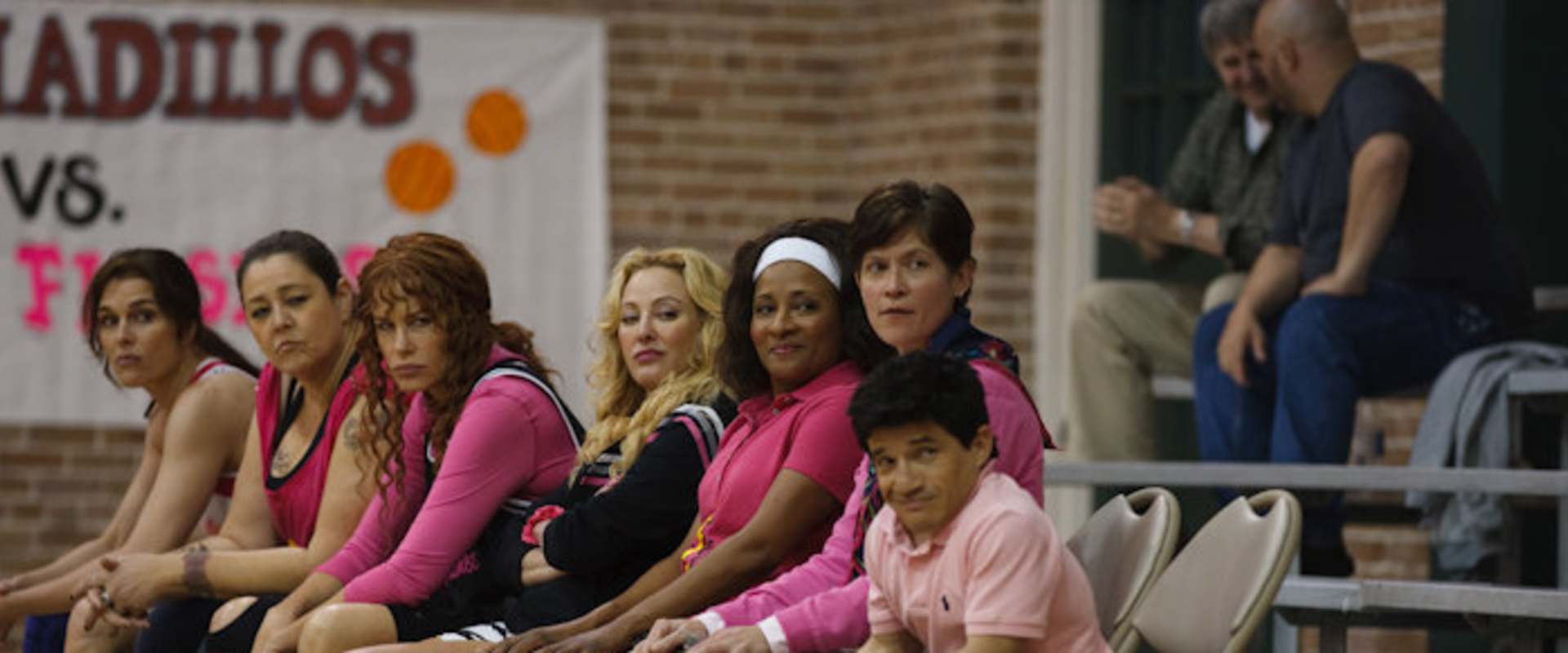 The Hot Flashes background 2
