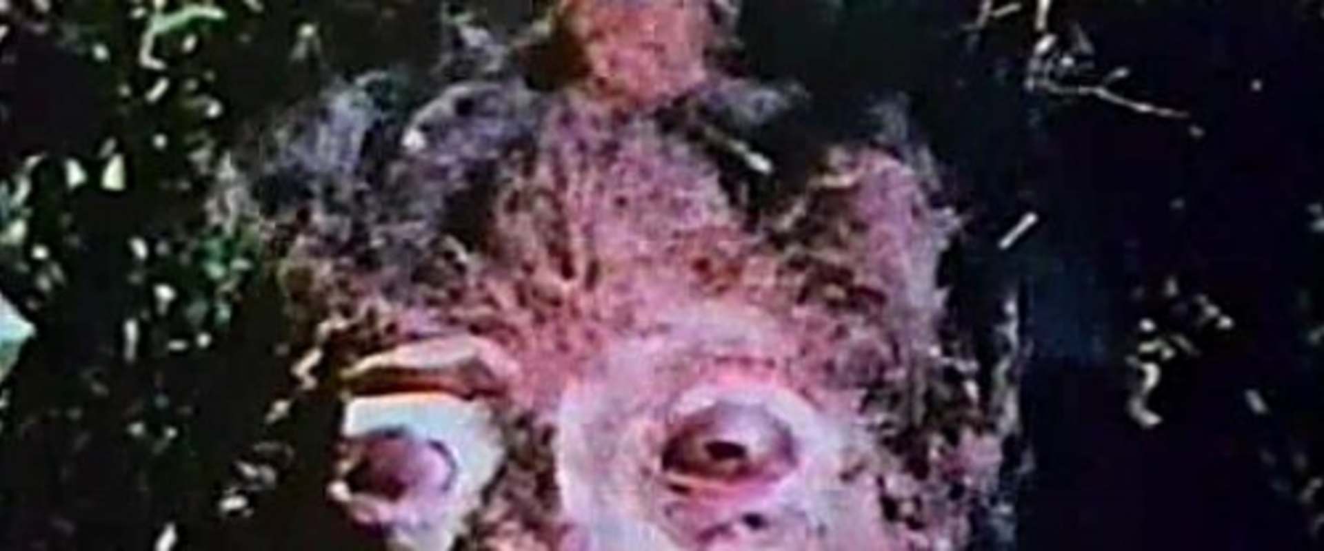 Curse of Bigfoot background 1