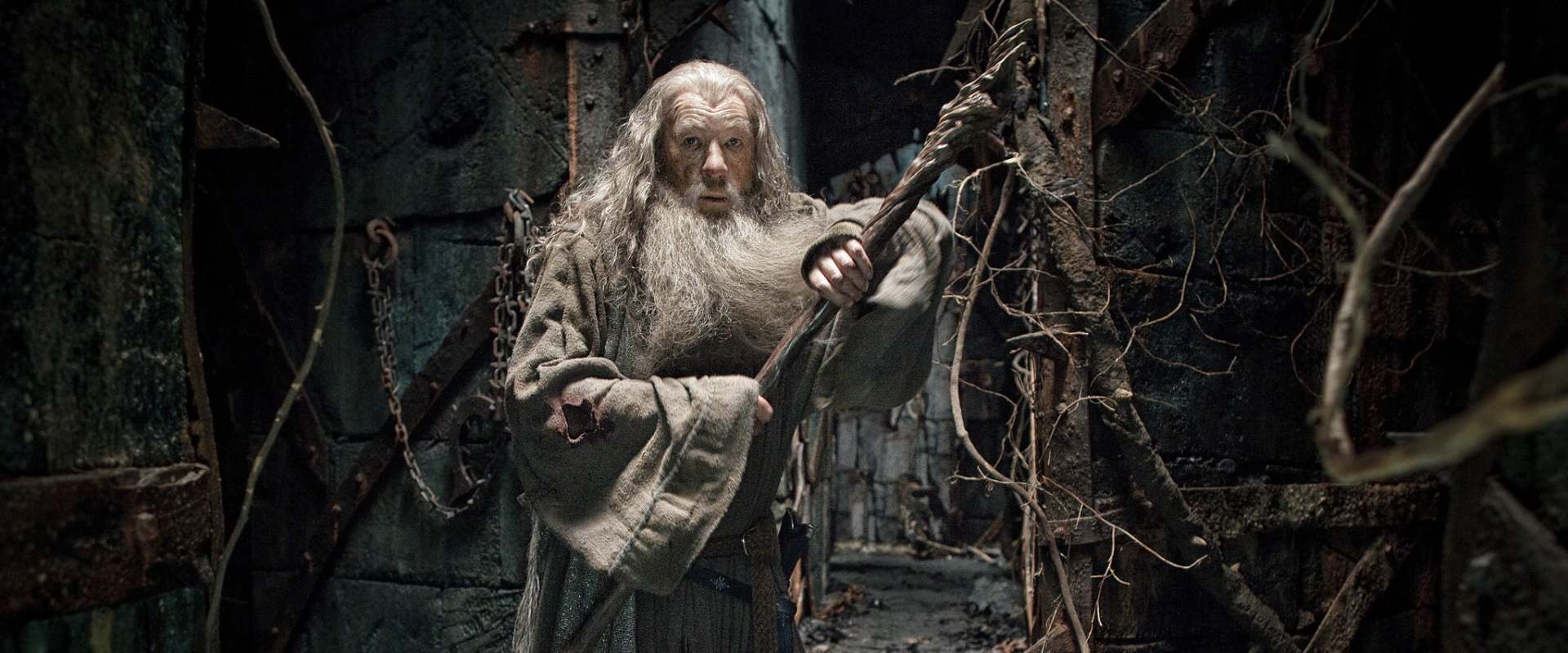 The Hobbit: The Desolation of Smaug background 1