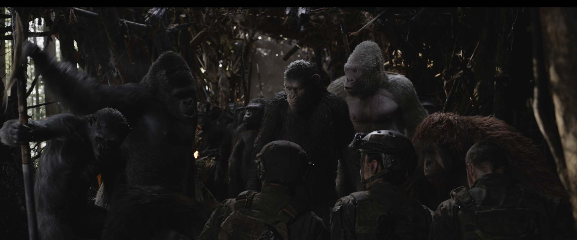 War for the Planet of the Apes background 1