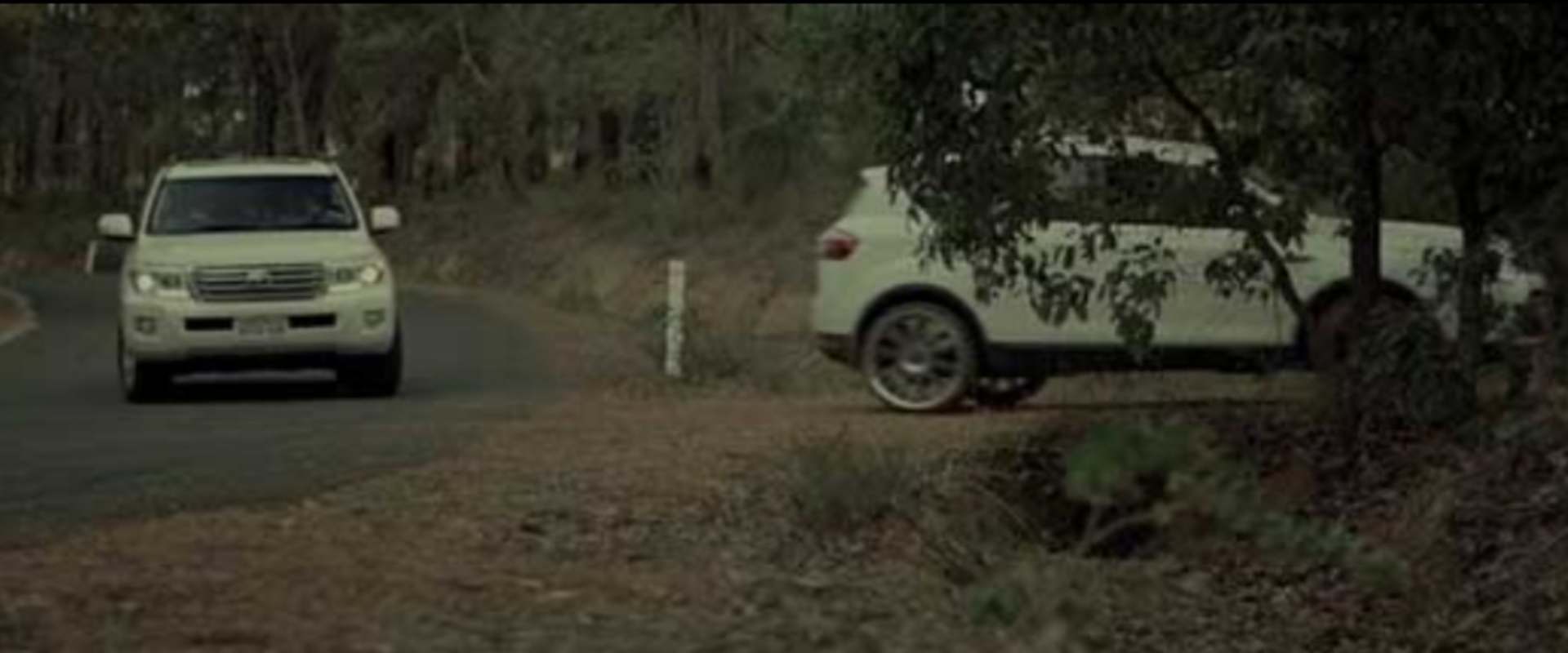 Lurking Woods background 1