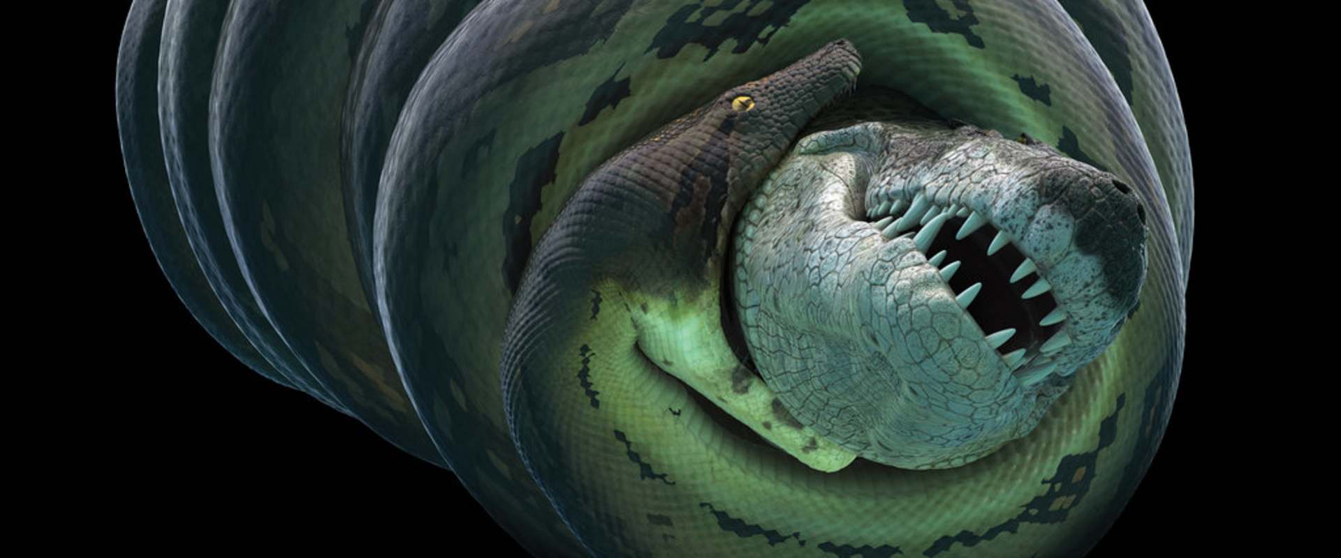 Большая змея в мире за всю историю