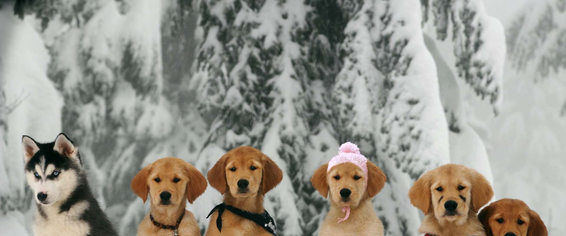 Snow Buddies background 1
