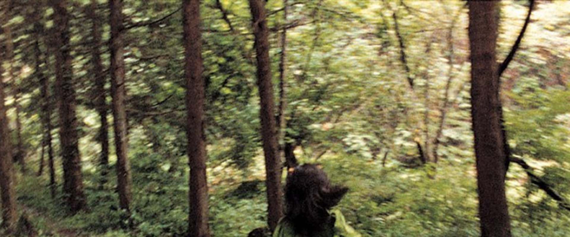 Séance background 2