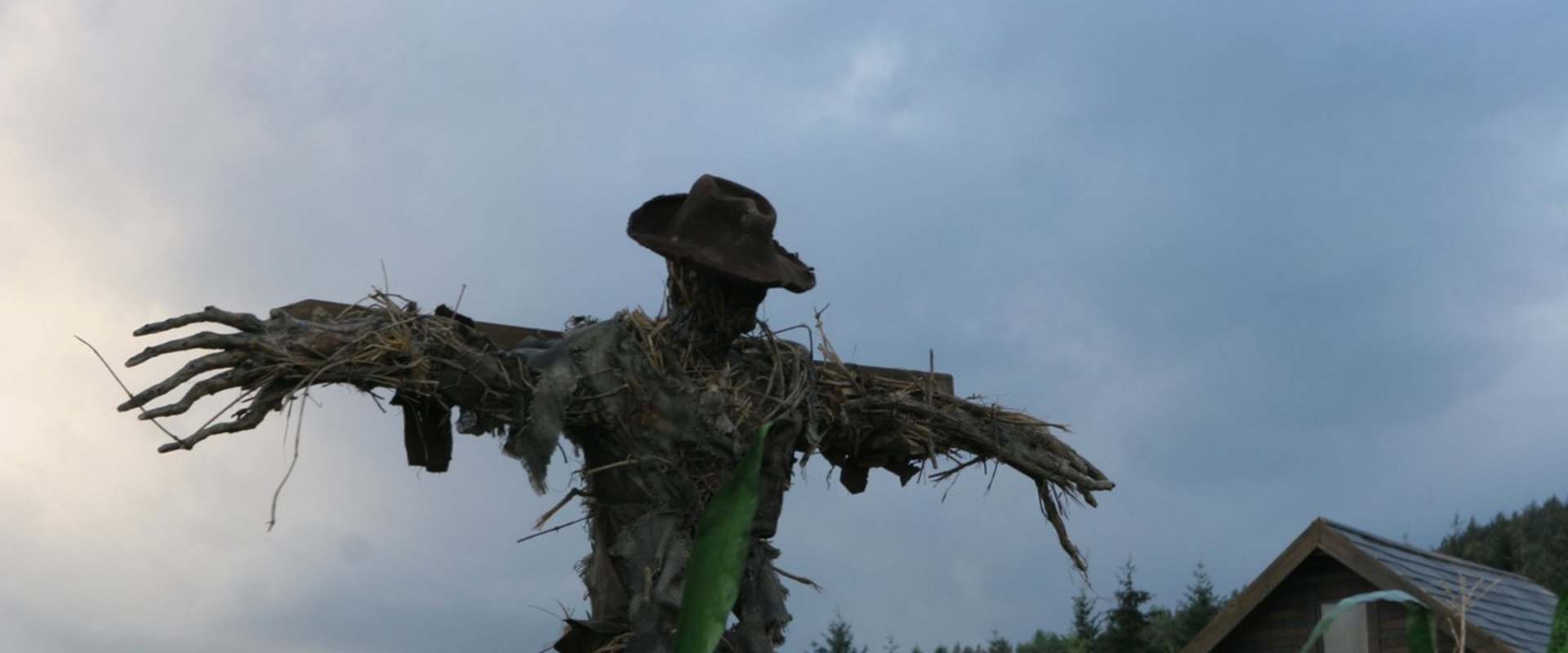 Messengers 2: The Scarecrow background 2
