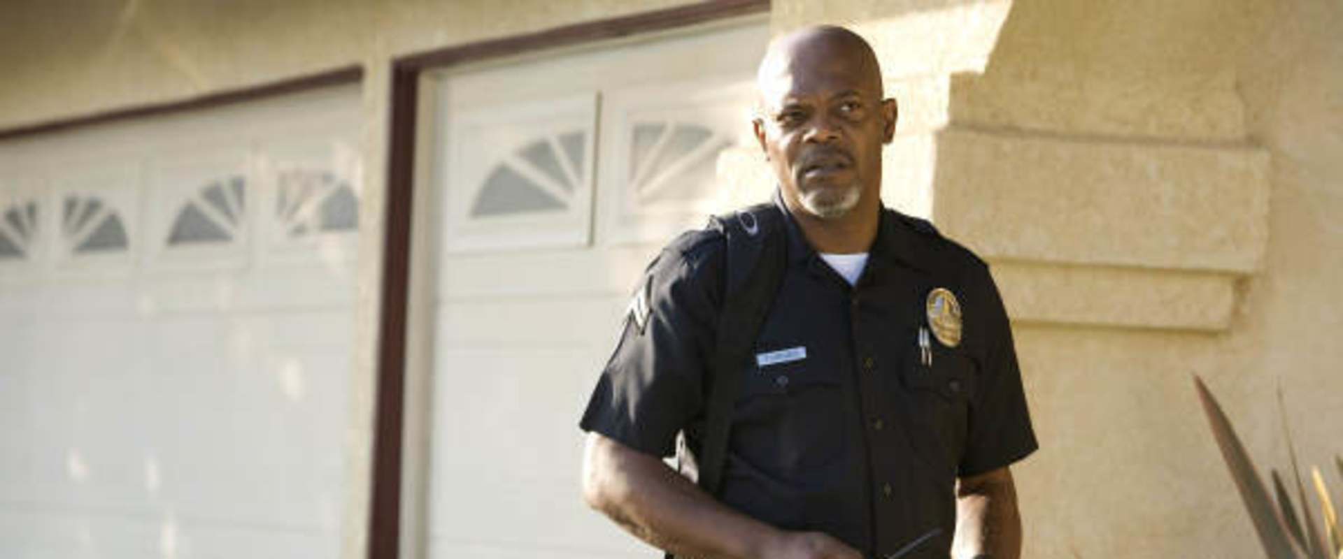 Lakeview Terrace background 2