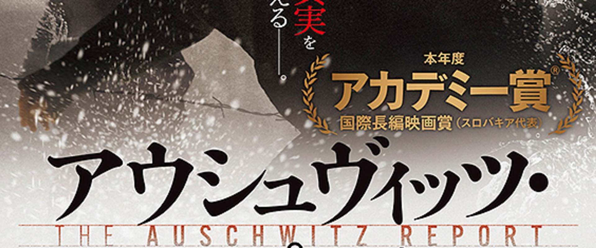 The Auschwitz Report background 1