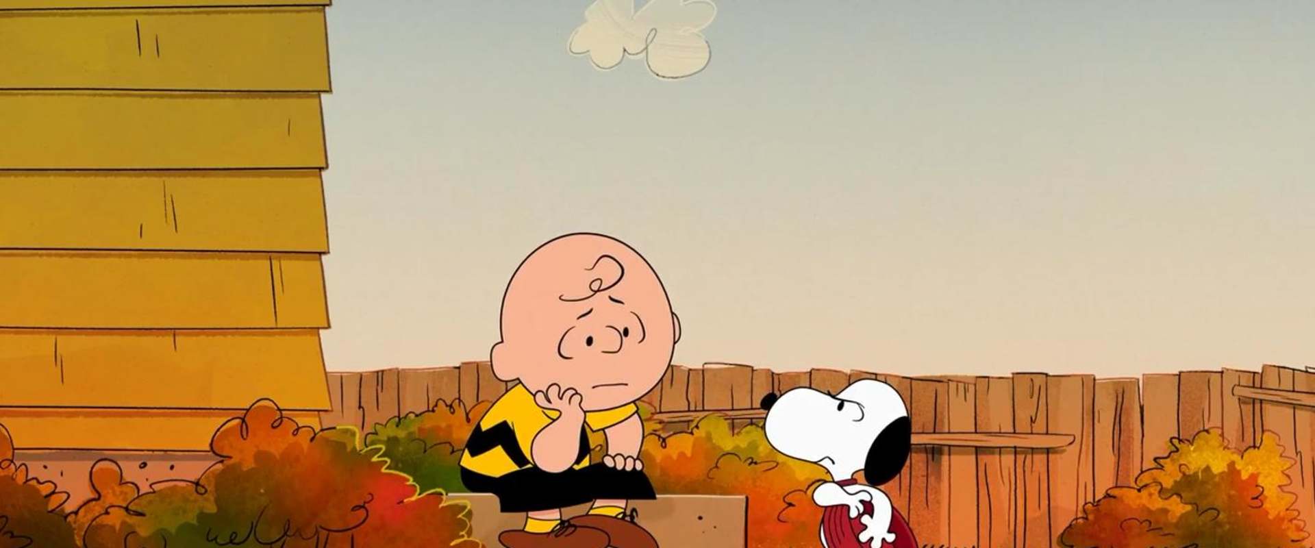 Who Are You, Charlie Brown? background 2