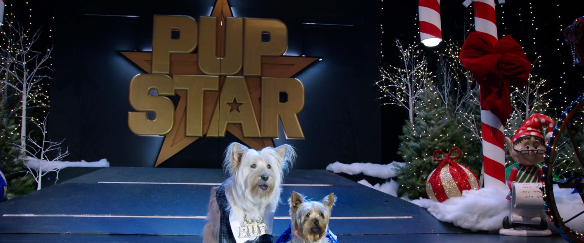 Puppy Star Christmas background 1