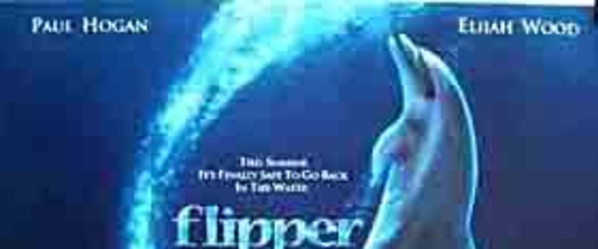 Flipper background 2