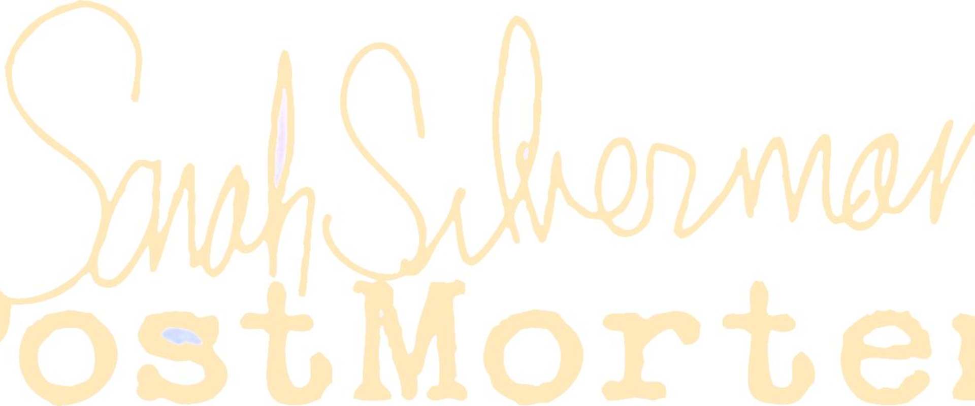 Sarah Silverman: PostMortem background 2