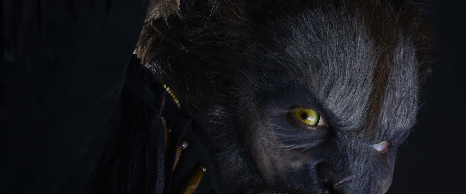 Wolves Film 2014 Streaming : Cayden richard ha una vita perfetta: - Boca Wallpaper