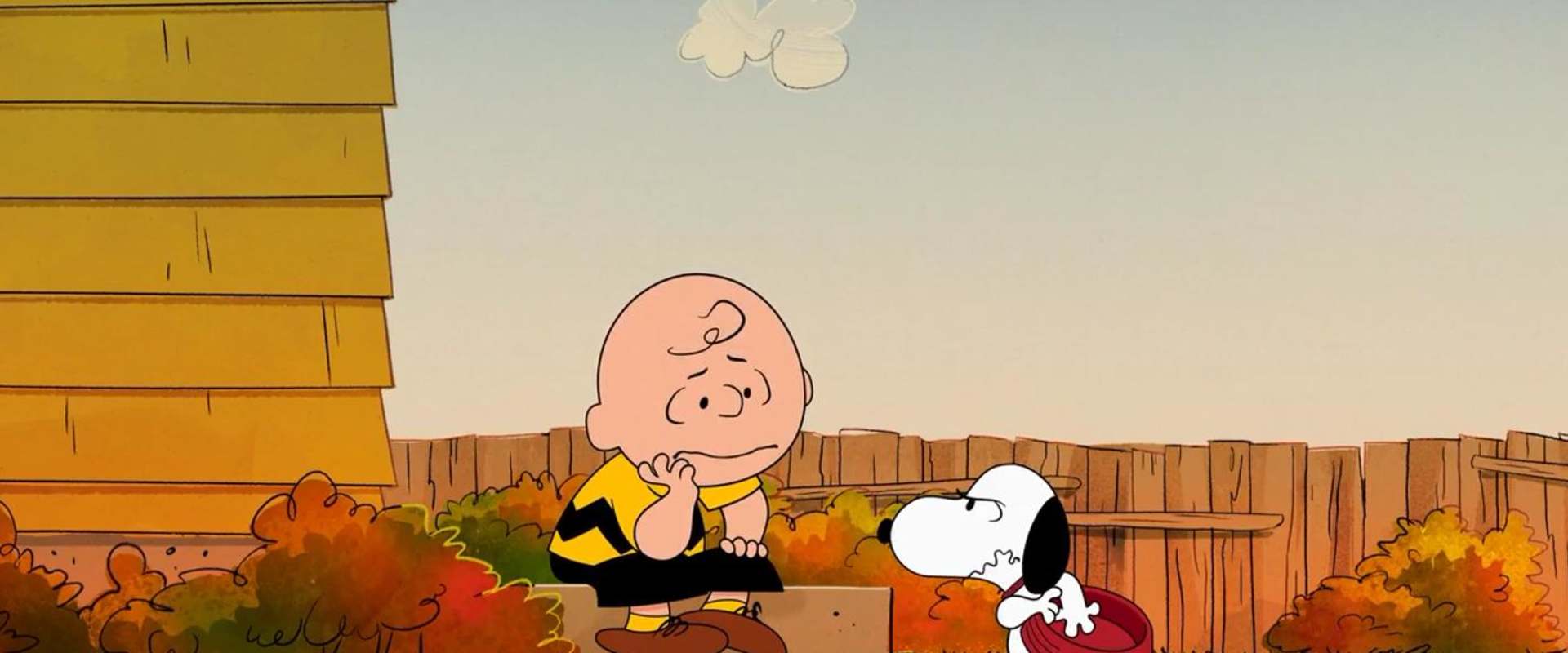 Who Are You, Charlie Brown? background 1