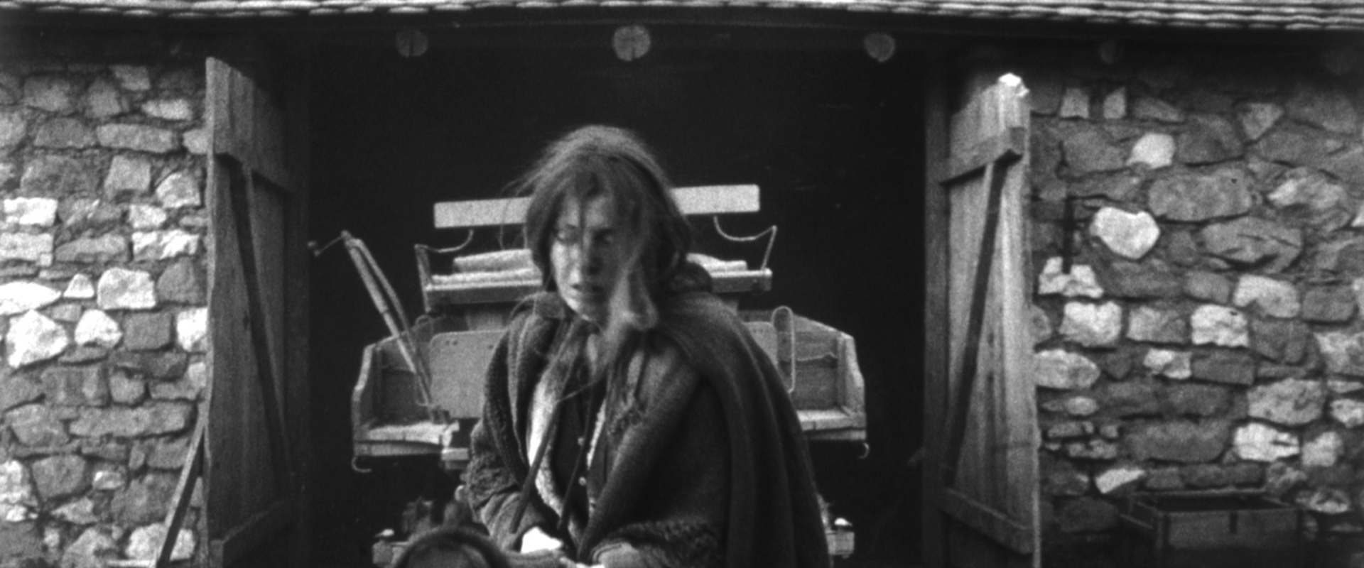 The Turin Horse background 1